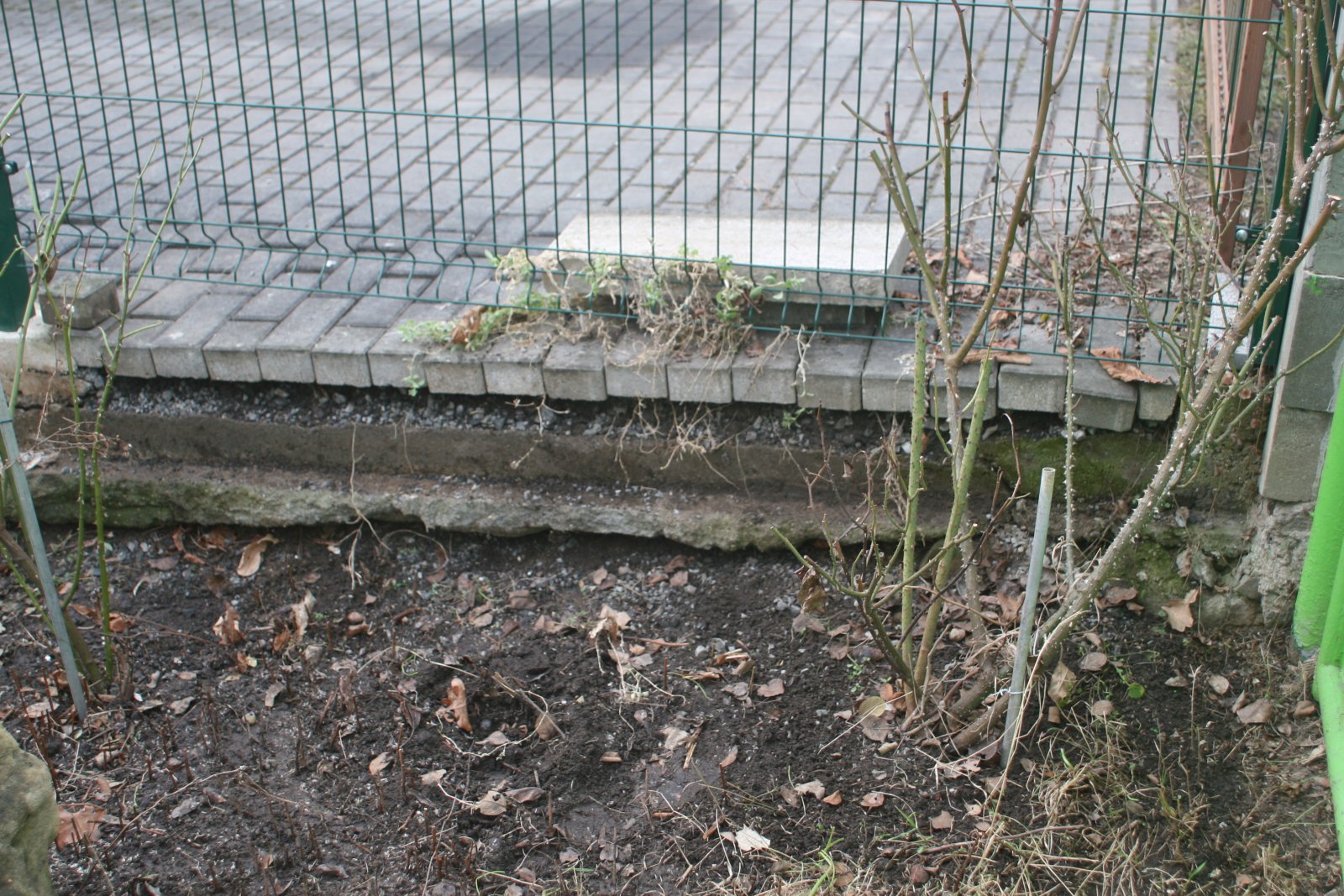 plot 3309